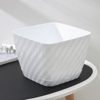 articul-A146557