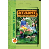 A24983 articul-A24983
