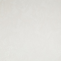 articul-A254656