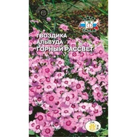 articul-A802605