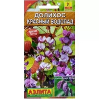 articul-A803904