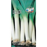 articul-A804804