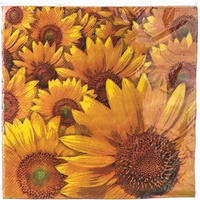 A805566 articul-A805566