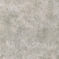 articul-A807261
