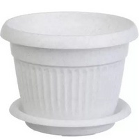 articul-A807279