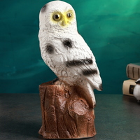 A807552 articul-A807552