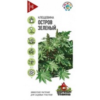 articul-A809508