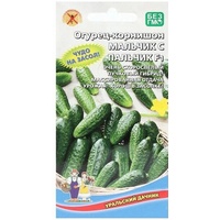 articul-A811820