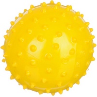 articul-A813384