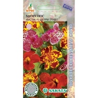 articul-A821395