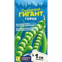 articul-A823388
