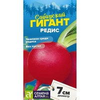 articul-A823399