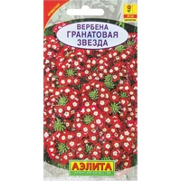 articul-A823426