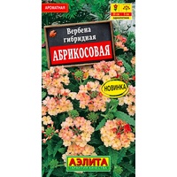 articul-A823435