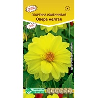 articul-A823817