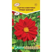 articul-A823818