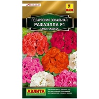 articul-A824204