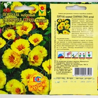 articul-A824406
