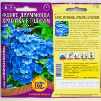 articul-A824433