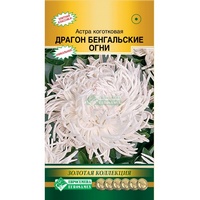 articul-A824693