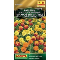 articul-A824706