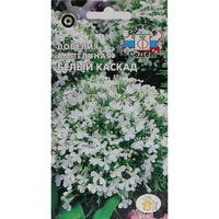 articul-A825524