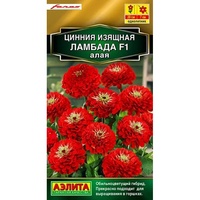 articul-A825962