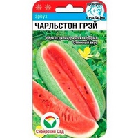 articul-A827095