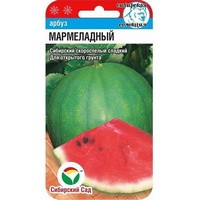 articul-A827097