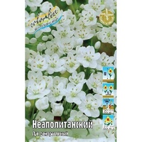 A827224 articul-A827224