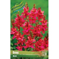 A827225 articul-A827225