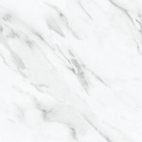 articul-A827811