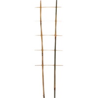 articul-A827989
