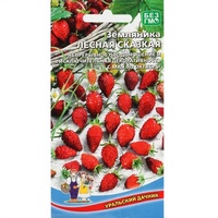 articul-A828031