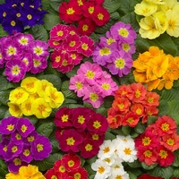 A828471 articul-A828471