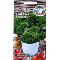 articul-A829157
