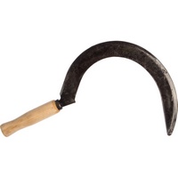 articul-A829650