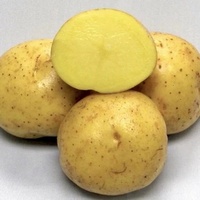 articul-A829767