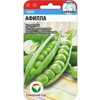 articul-A830468