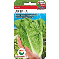 articul-A830492