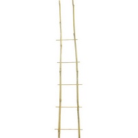 articul-A831314