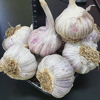 A832506 articul-A832506