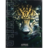 articul-A832542-2