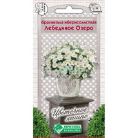 A837121 articul-A837121