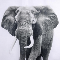 articul-A840844-2