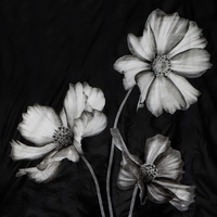articul-A840846-2