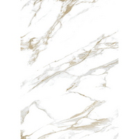 articul-A841519