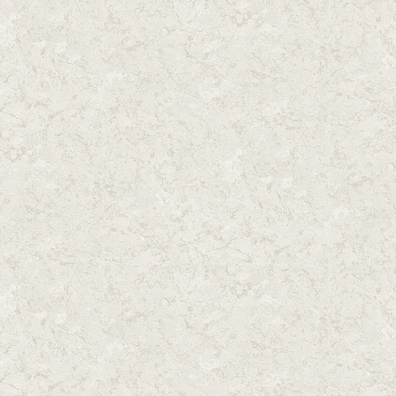 articul-A829058