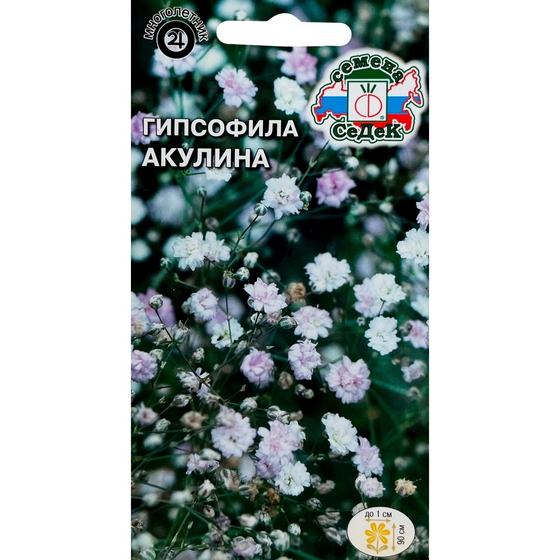 articul-A839600