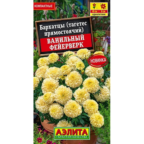 articul-A840815